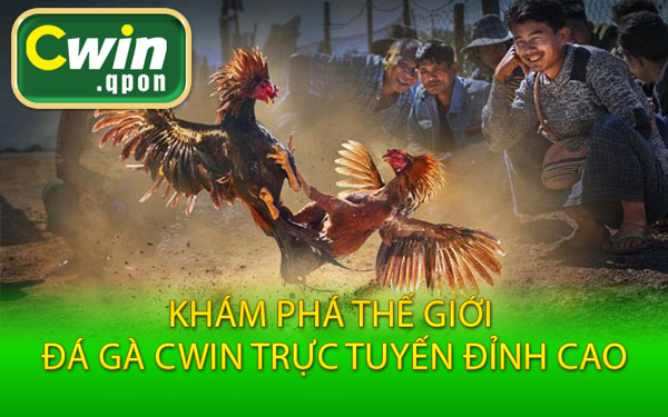 Khám Phá Thế Giới Đá Gà Cwin Trực Tuyến Đỉnh Cao